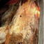 1647789286683c621fc1e536.20950686php3nu23psqmfq3cg59WFU.png
