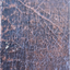 2131890650683c1f612f4519.39173572phpq2jiplvqekumdqyjGOj.png