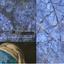 2141796575683c25f8afa3d5.21922898phpe1vhiue5tt3f5cQxNIv.png