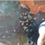 517664221683c100c857b36.38046827php8cn8as8vn2it9WzRszq.png