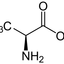 20811513306319437f0e0646.79606378phpXCjtQx.png