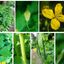 573323750612f92dba8ed38.40412379php0aSiGP.jpg