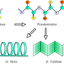 101515529063837cefdd3d20.00077748phpm79bA9.png