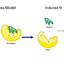 13030554136384ab95b07860.61270804phpHpBavJ.jpg