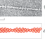 145359760638b3af88d3074.78966419phpwfUonU.png