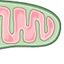33092643363875de37db661.50964517php50xjrR.jpg