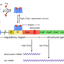 35427764663a84c66e362f6.63980293php7919Jx.png
