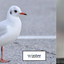 194814174662976367e2fc1.54100563phpCHXWMm.png
