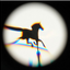 186757524665a3a2c9e94400.43049845php3OvsnL.png