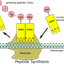 10997020456575f0dcc54f14.67314404php08oPVJ.png