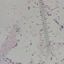 2398220996a382f5112c7b3.68863759php8nem3foumg4c4TdRFRM.jpeg