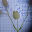 11533392026a44e101326b17.56782489phpame7hj6npf94cEXefoh.png