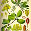 12872299396a44e1d82aafa6.16336218phppg3l8rq7gai264Wedq7.png