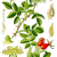 16153267916a44e4213d3923.27855395phpat6rdho1f2m8cPBLOCS.png