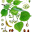 19198180076a44e49ac0b8b5.83498176phpatc8ig5m5tjta7O1uG0.png