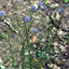 19911503866a44e3364c93a8.94200824php5i0t6m1qhvh12JUab68.png