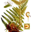 4844637776a44e26e9f5ce0.70818759php7dnbd1gep9qo81xSOjL.png