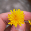 5096014816a44e012dfa8f3.31583336phpg1f1g9cgejl83MFENNz.png
