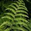 5235579396a44e1e0396951.67611819phpj201sp09fk988xL9qy3.png