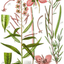 6111434016a44e27a53db65.84464390phps50lagbkrtahebZc0Jd.png