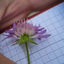 7833929656a44e14a0794f1.78914093phphabvqpa7qin86ES3rOf.png