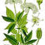 883923636a44e194ea7283.63101468php44a16t9odr3faqawzUb.png