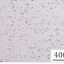 26435526364d243cb9d7844.31064691phpCAAQKo.png