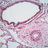 01c5428de0134b341235b5ef6a1566c8f4543dd31462570790.png