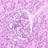 4e6e49c76c7f30836f62e18adc85e23850aa84e51462191966.png