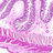 81f4c6a685ec0f0beb7e566796c70231bab41d161462569666.png