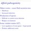 15296320865dbdba743799e3.58000542phpLDyggq.jpg