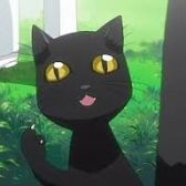 Catcat  